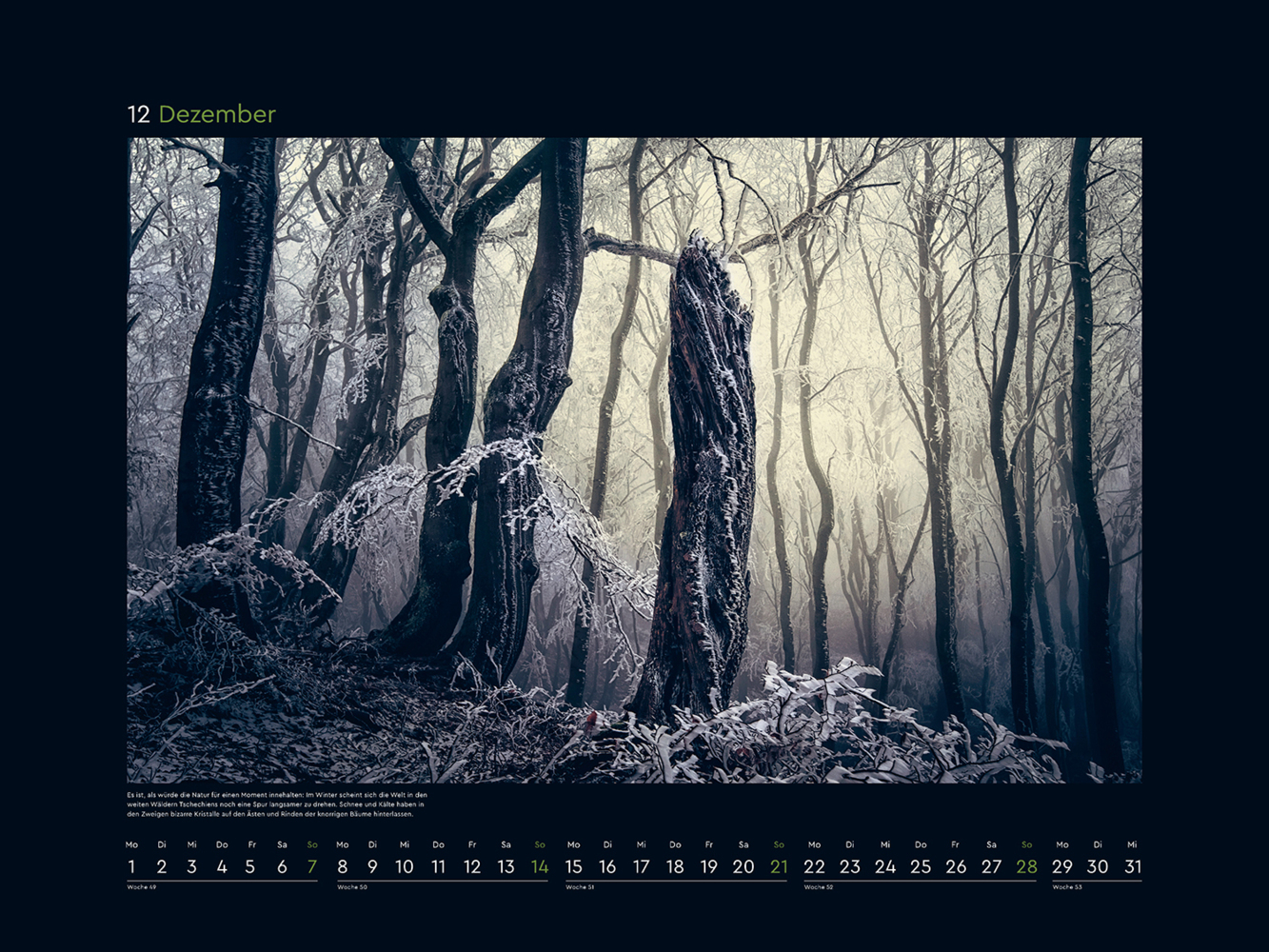 Bild: 9783965913356 | Magische Wälder - KUNTH Wandkalender 2025 | Kalender | 14 S. | Deutsch