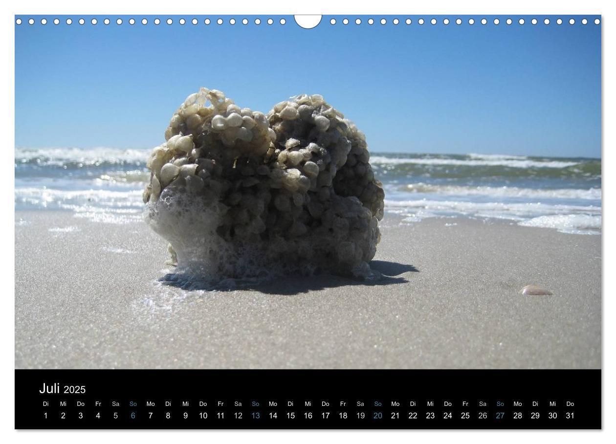 Bild: 9783435787920 | Die Insel Amrum (Wandkalender 2025 DIN A3 quer), CALVENDO...