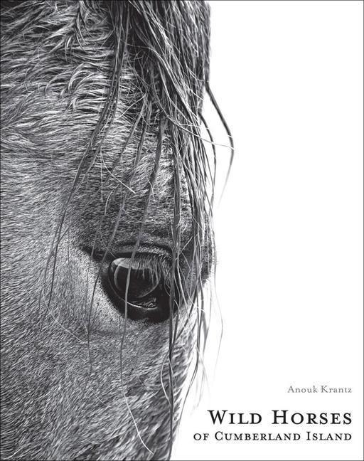 Cover: 9781864708851 | Wild Horses of Cumberland Island | Anouk Masson Krantz | Buch | 2020