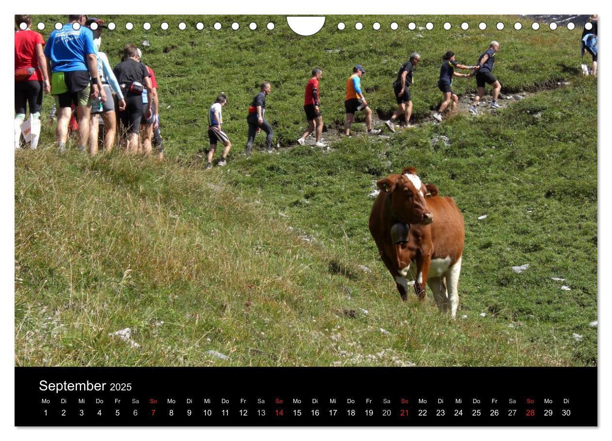 Bild: 9783435823826 | Der Jungfrau-Marathon (Wandkalender 2025 DIN A4 quer), CALVENDO...