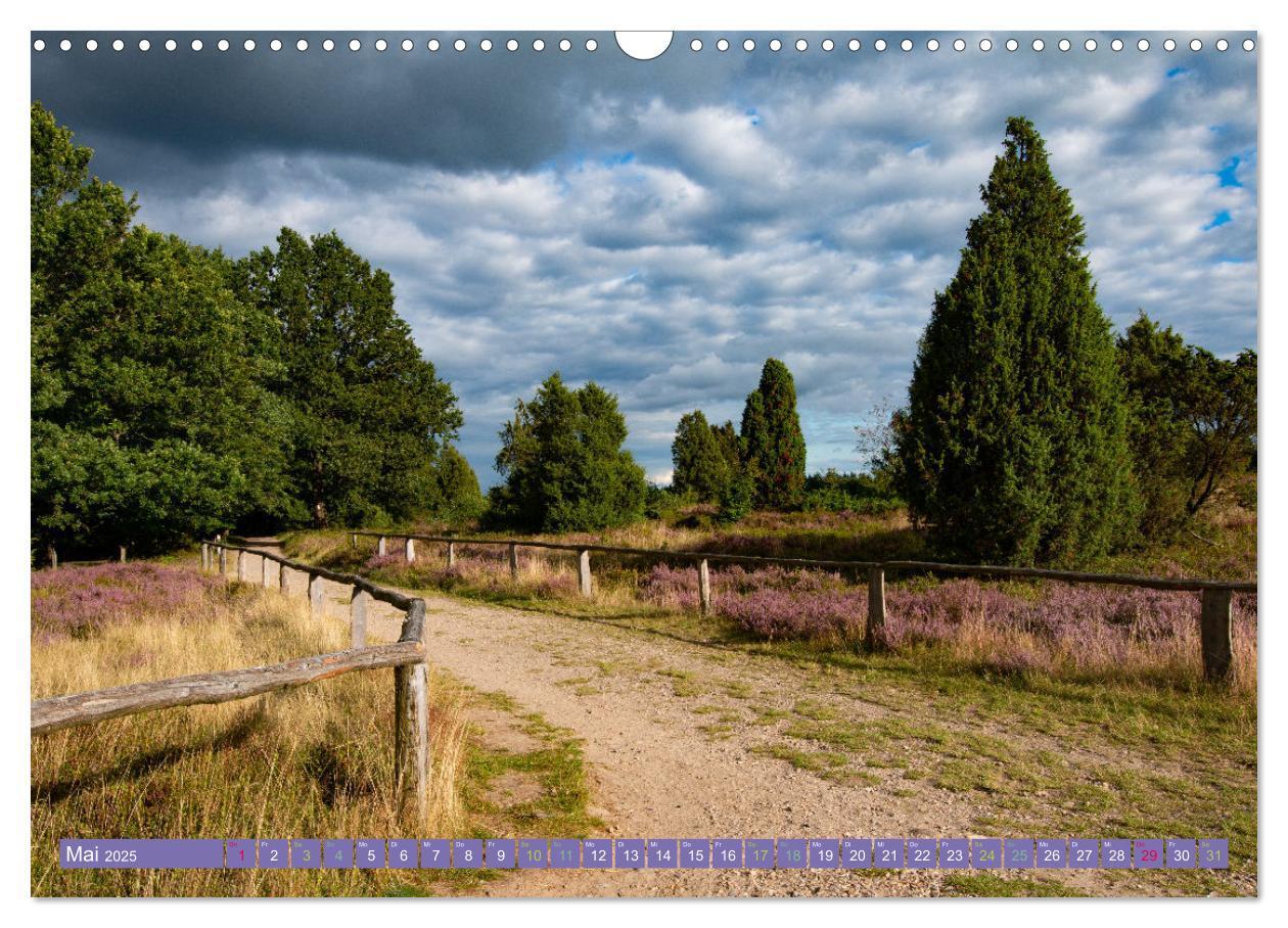 Bild: 9783383984143 | Die Farbenpracht der Lüneburger Heide (Wandkalender 2025 DIN A3...