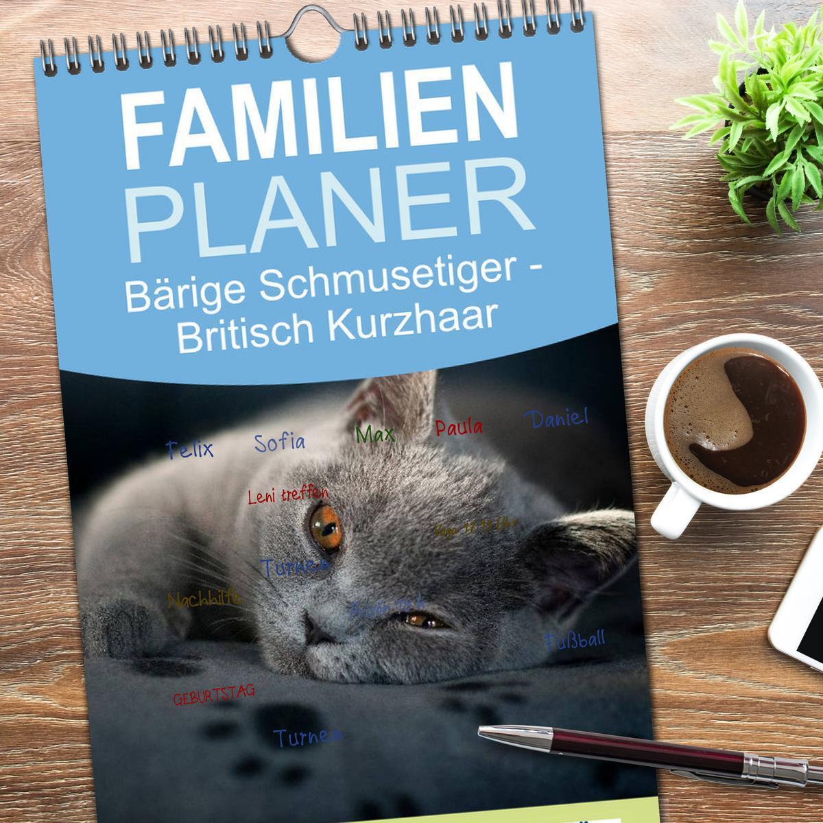 Bild: 9783457119792 | Familienplaner 2025 - Bärige Schmusetiger - Britisch Kurzhaar mit 5...