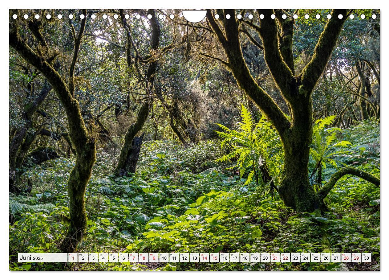 Bild: 9783383918889 | Kanarische Inseln - El Hierro (Wandkalender 2025 DIN A4 quer),...