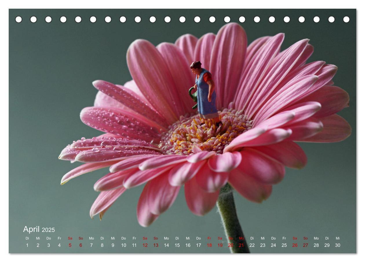 Bild: 9783457224441 | Das geheime Leben von Miniatur-Figuren (Tischkalender 2025 DIN A5...