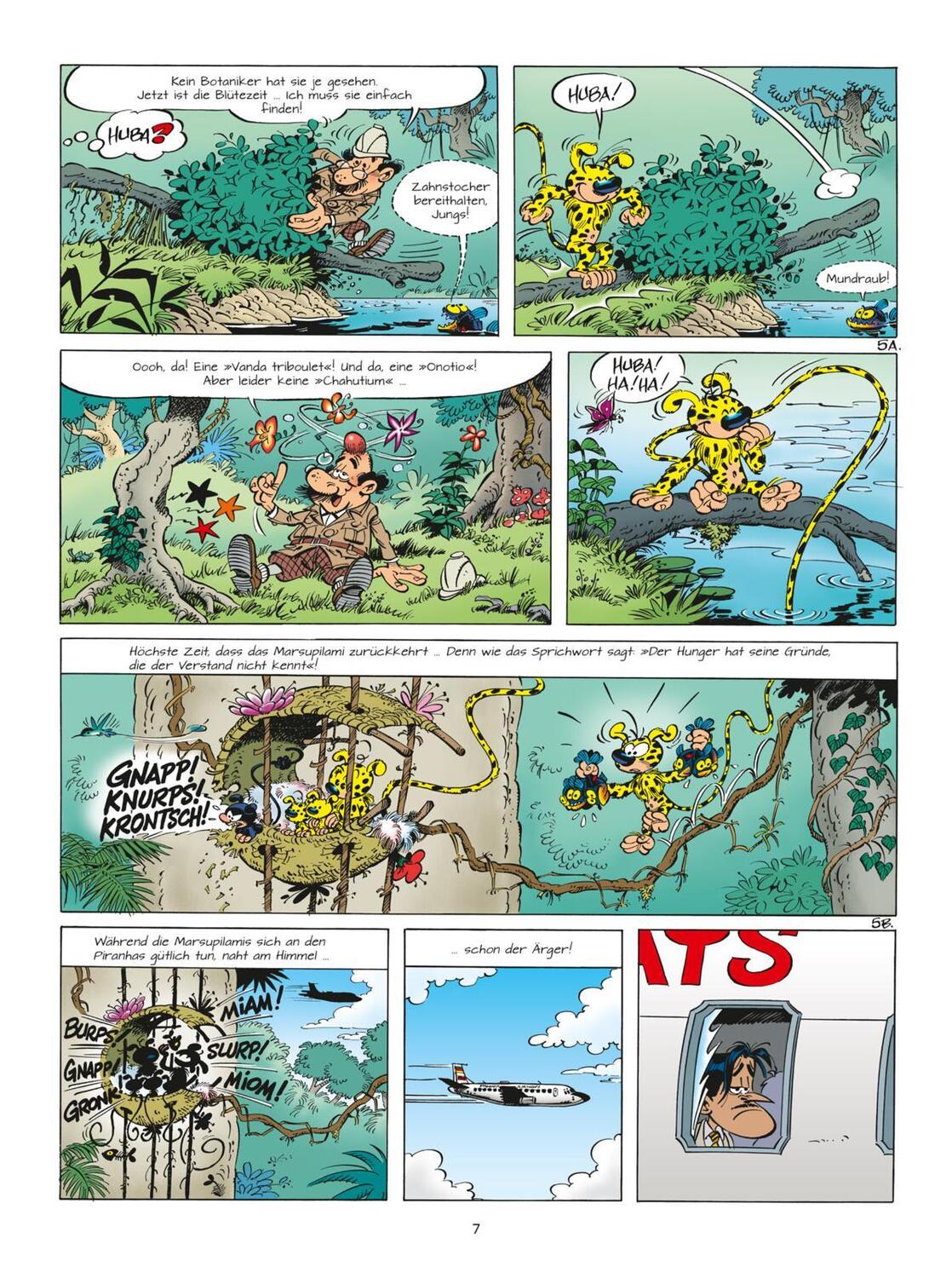 Bild: 9783551796967 | Marsupilami 33: Die Orchidee der Chahutas | André Franquin (u. a.)