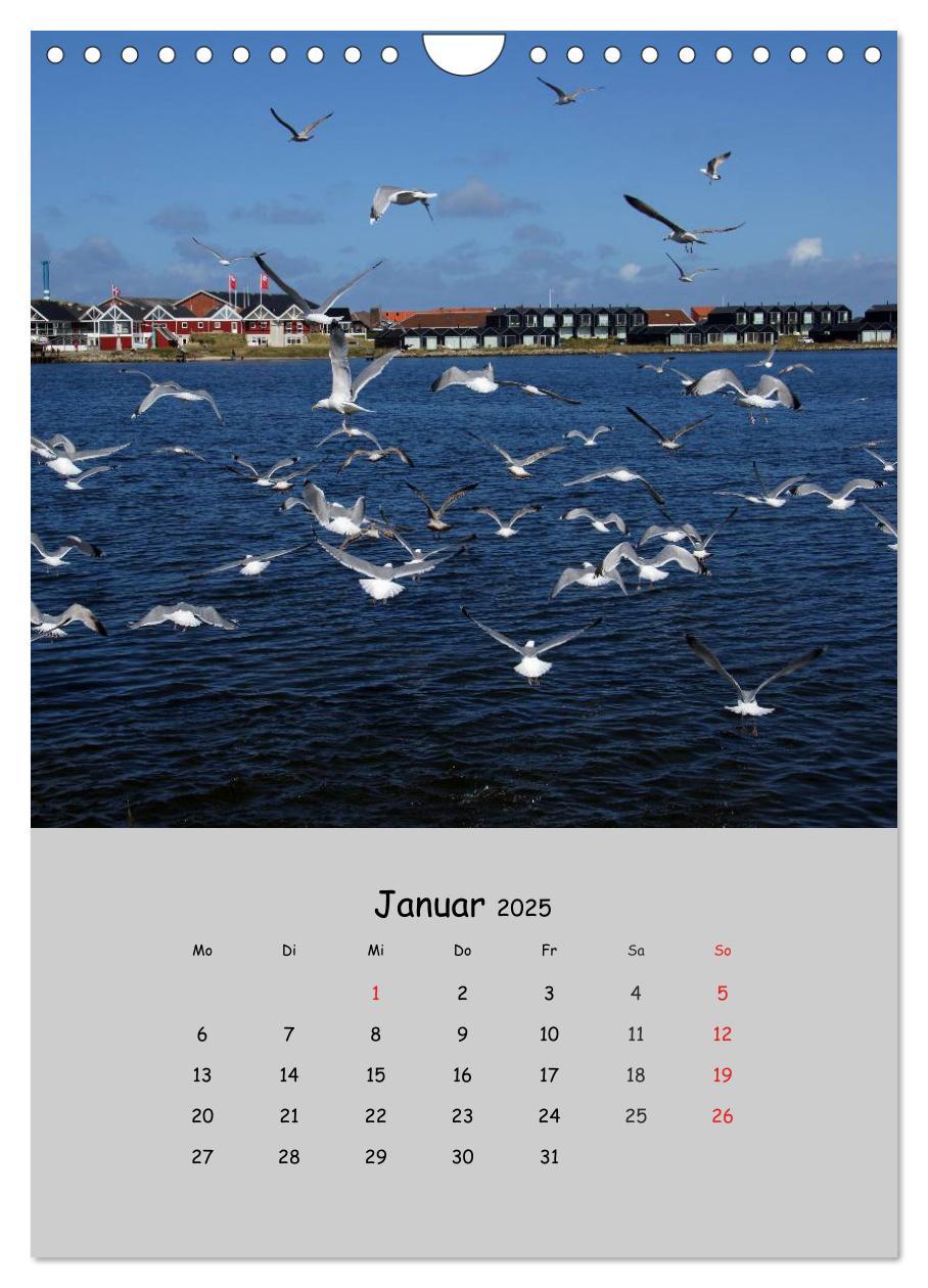 Bild: 9783457007822 | Dänemarks Westküste 2025 (Wandkalender 2025 DIN A4 hoch), CALVENDO...