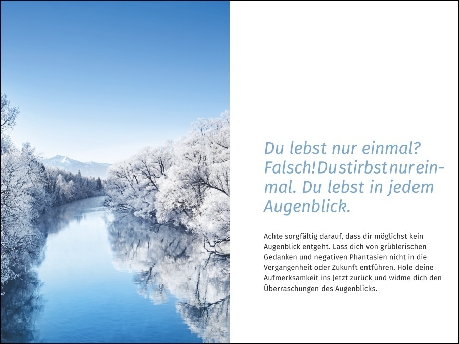 Bild: 9783840196034 | PAL-Lebensfreude-Taschenkalender 2024: Terminkalender, Wochenplaner...