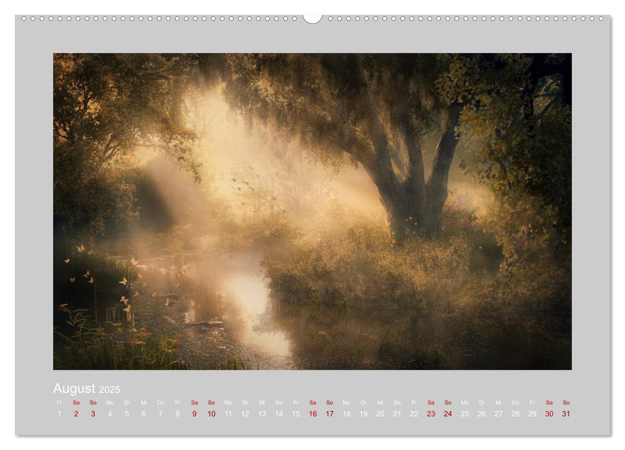 Bild: 9783383912801 | Wald der Märchen (Wandkalender 2025 DIN A2 quer), CALVENDO...