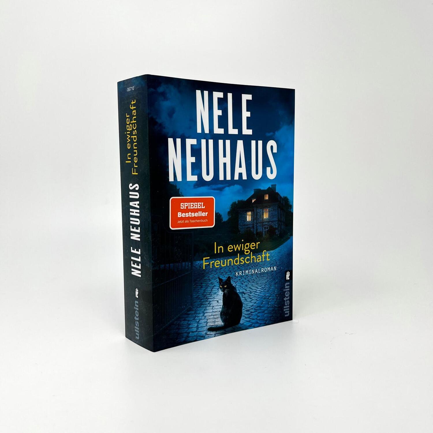 Bild: 9783548067100 | In ewiger Freundschaft | Nele Neuhaus | Taschenbuch | 528 S. | Deutsch