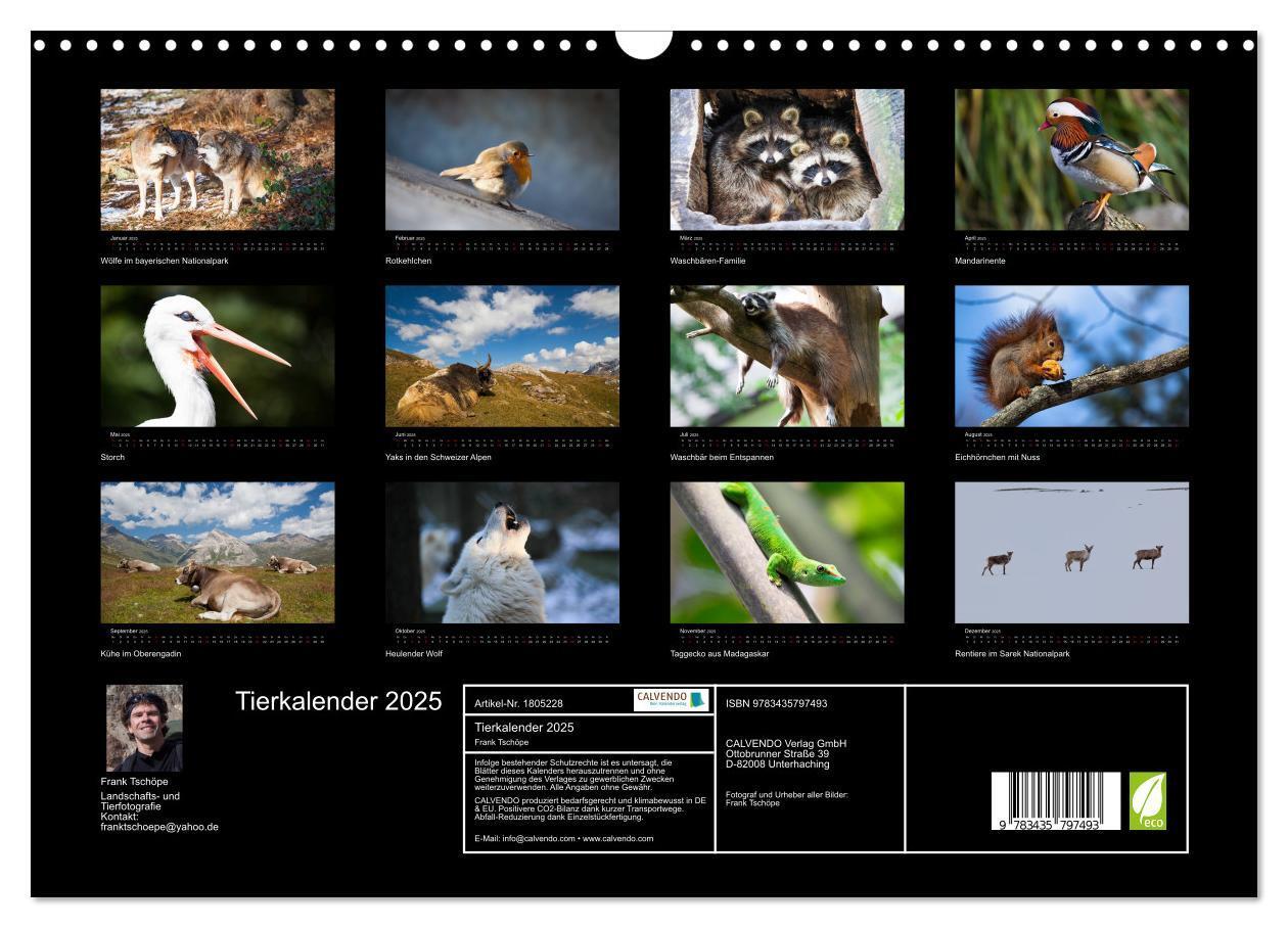 Bild: 9783435797493 | Tierkalender 2025 (Wandkalender 2025 DIN A3 quer), CALVENDO...