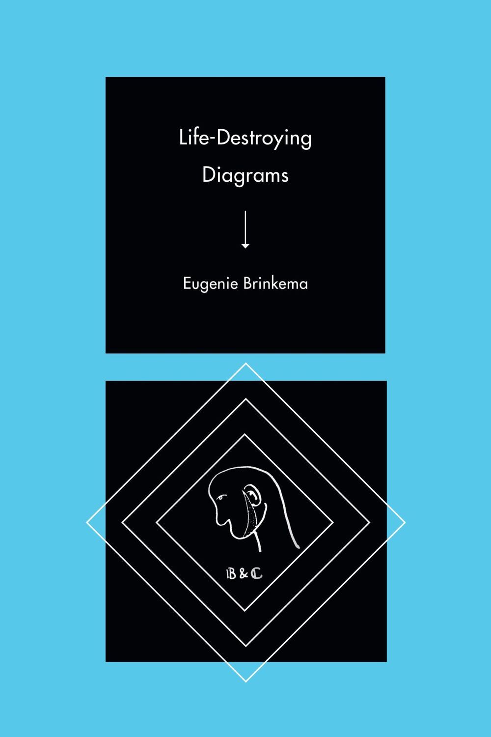 Cover: 9781478014348 | Life-Destroying Diagrams | Eugenie Brinkema | Taschenbuch | Englisch