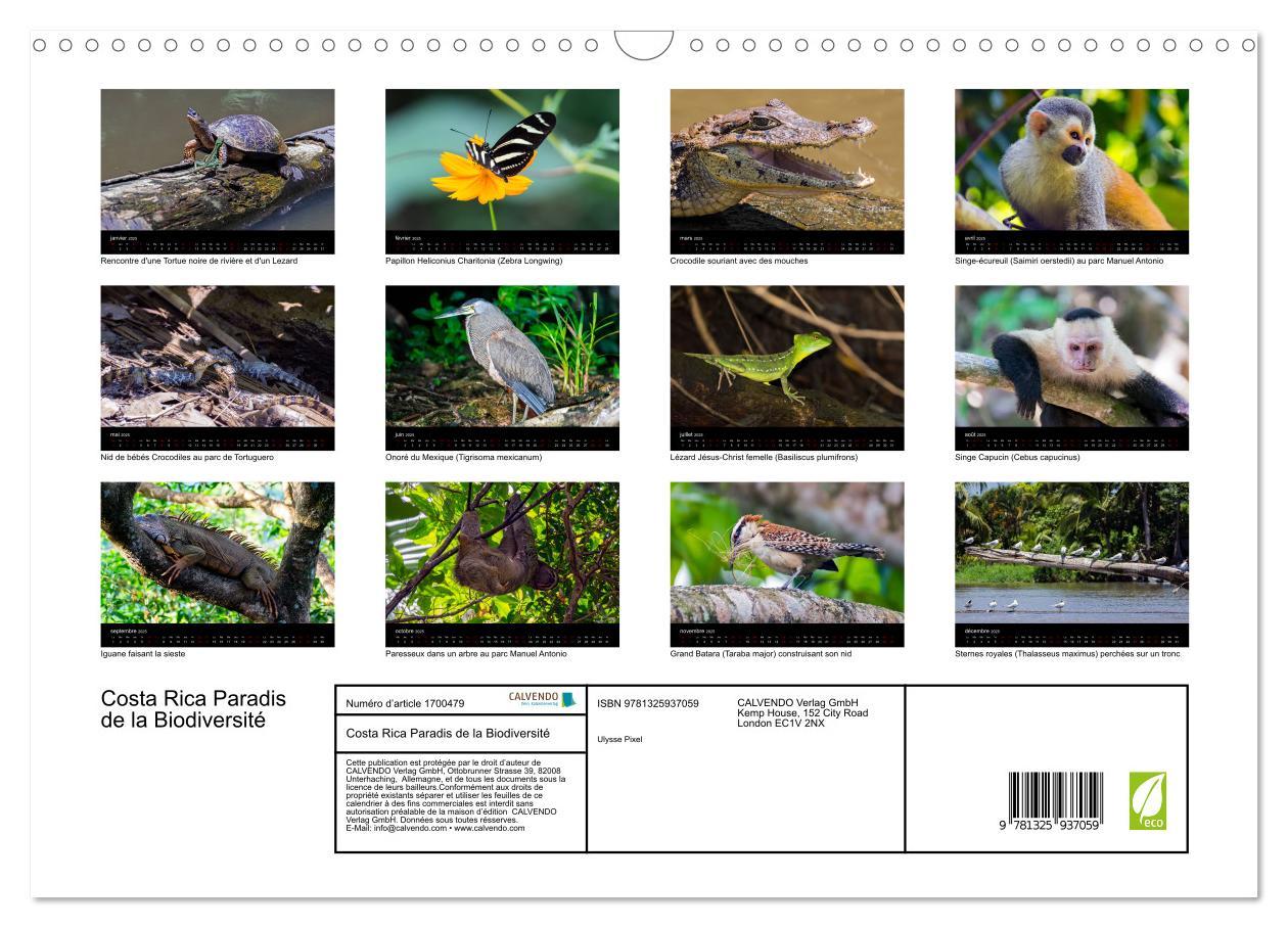 Bild: 9781325937059 | Costa Rica Paradis de la Biodiversité (Calendrier mural 2025 DIN A3...