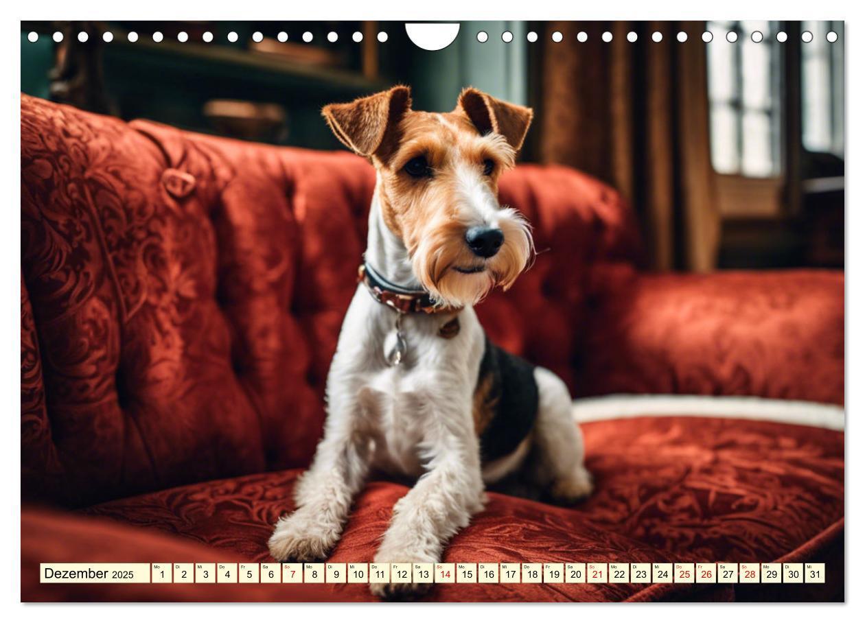 Bild: 9783435690367 | Drahthaar-Foxterrier (Wandkalender 2025 DIN A4 quer), CALVENDO...