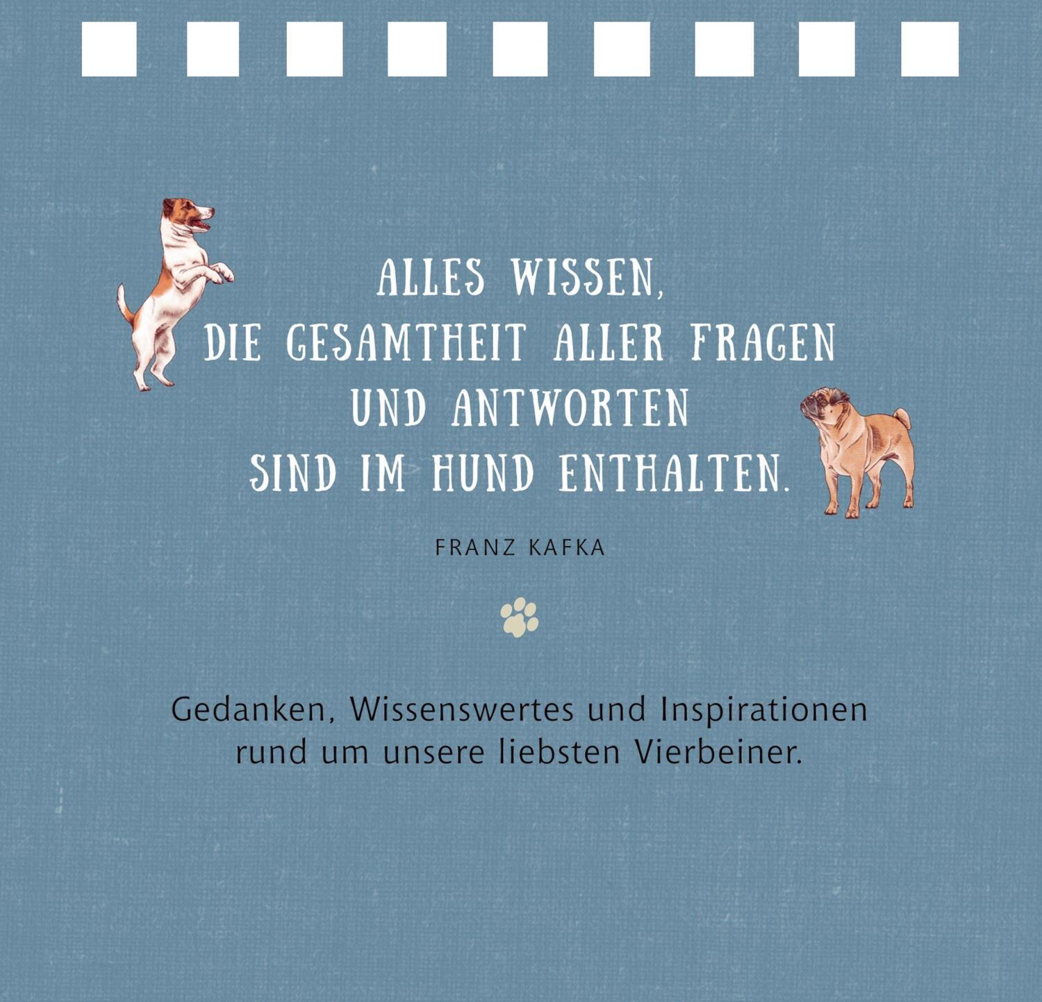 Cover: 9783649646044 | Tierisch beste Freunde | Julia Gerigk | Taschenbuch | 144 S. | Deutsch