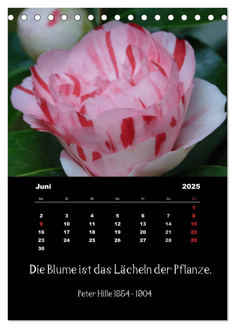 Bild: 9783457085660 | Sprüche und Zitate berühmter Personen über Blumen und Natur...