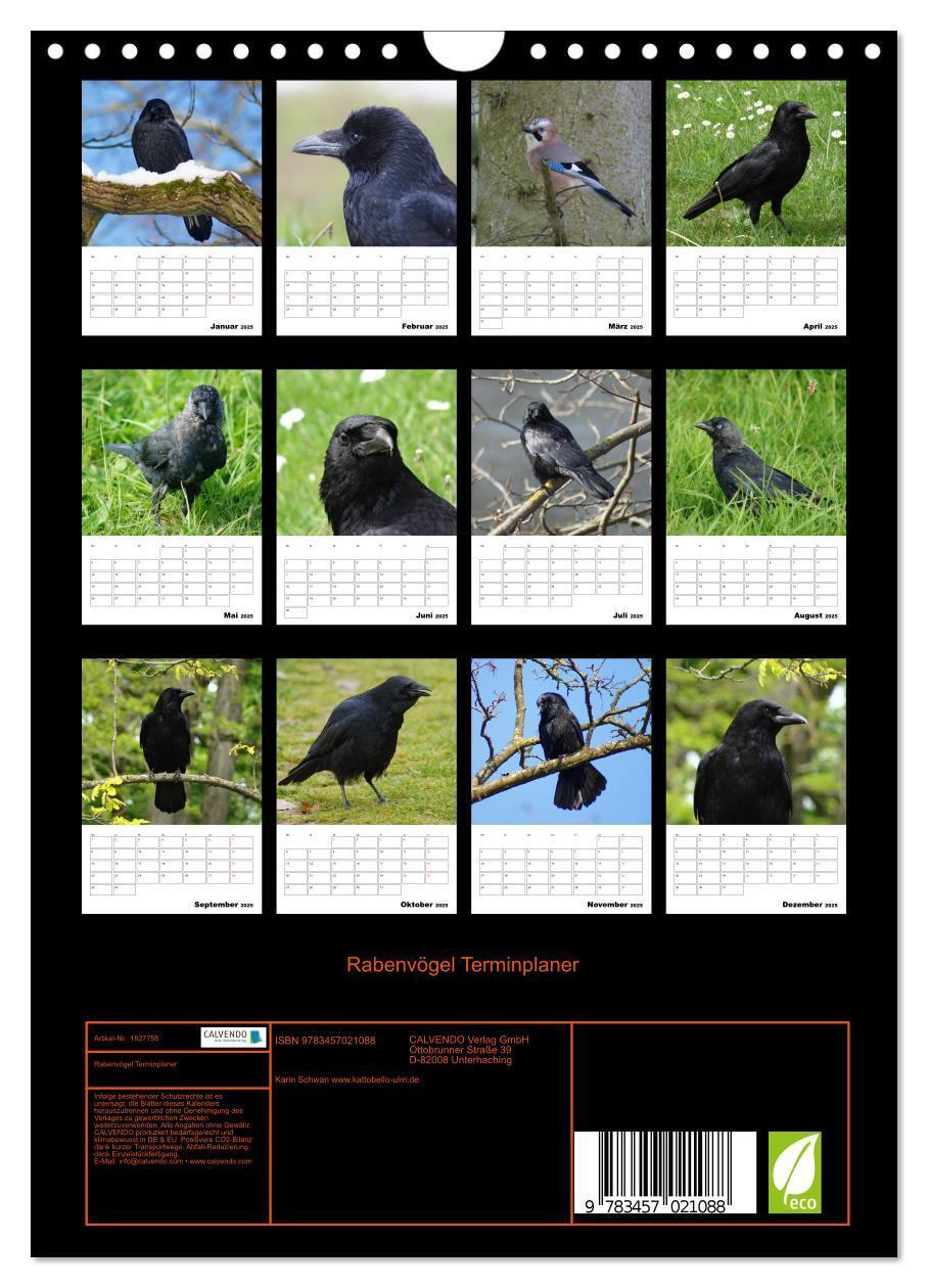 Bild: 9783457021088 | Rabenvögel Terminplaner (Wandkalender 2025 DIN A4 hoch), CALVENDO...