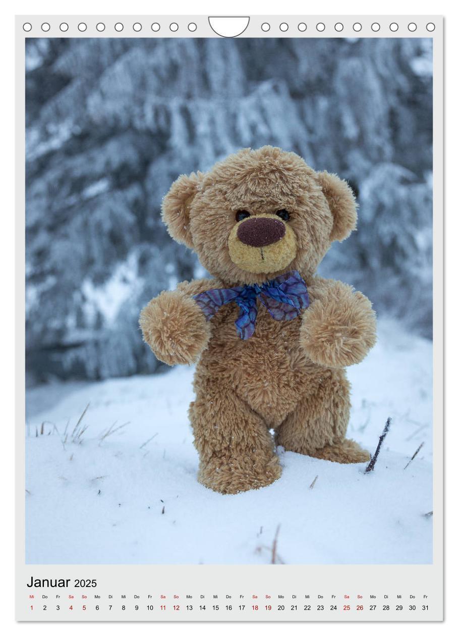 Bild: 9783435985371 | Travelling Teddy in Europa (Wandkalender 2025 DIN A4 hoch),...