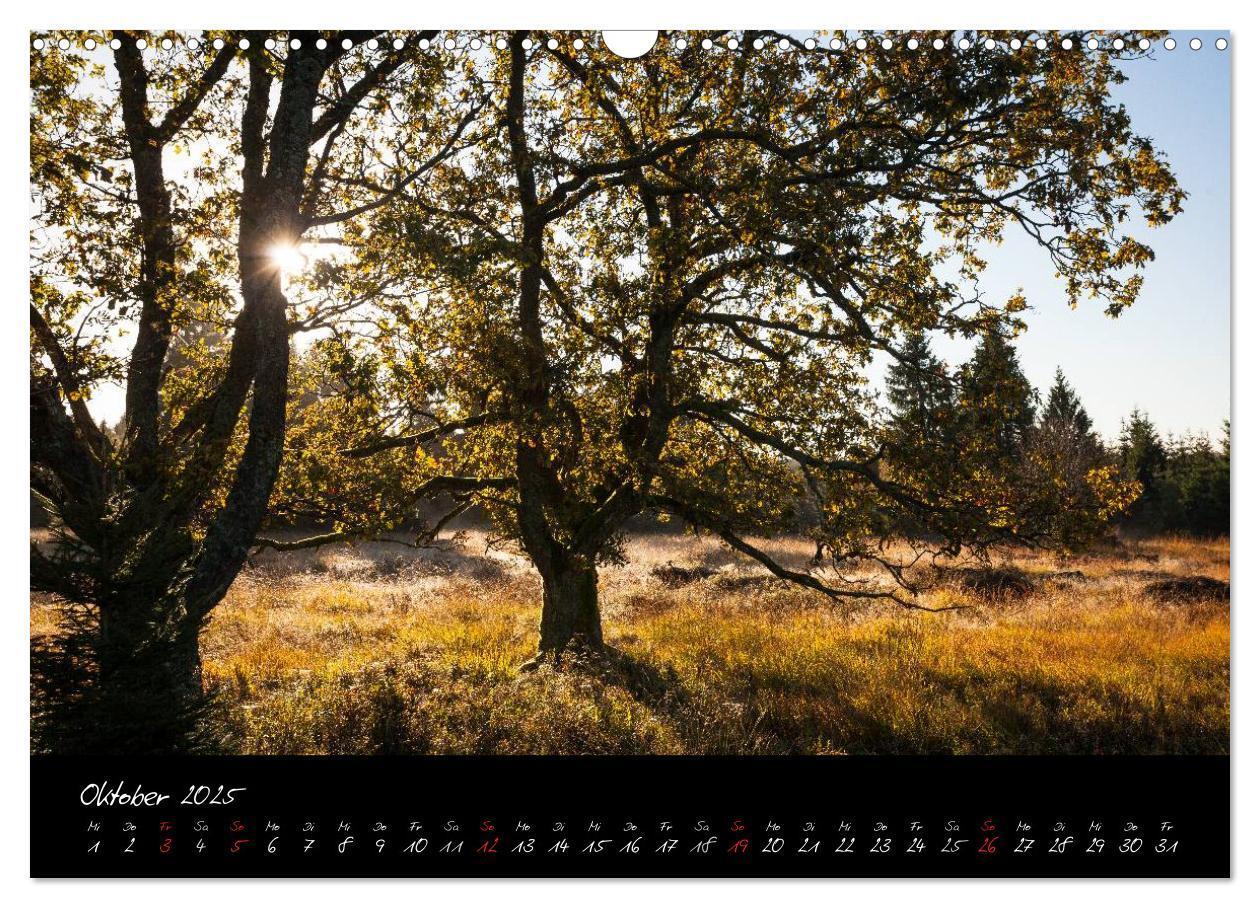 Bild: 9783435518722 | Hochmoor Hohes Venn (Wandkalender 2025 DIN A3 quer), CALVENDO...