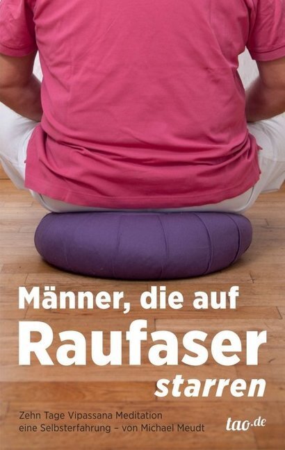 Cover: 9783955293062 | Männer, die auf Raufaser starren | Michael Meudt | Taschenbuch | 2013