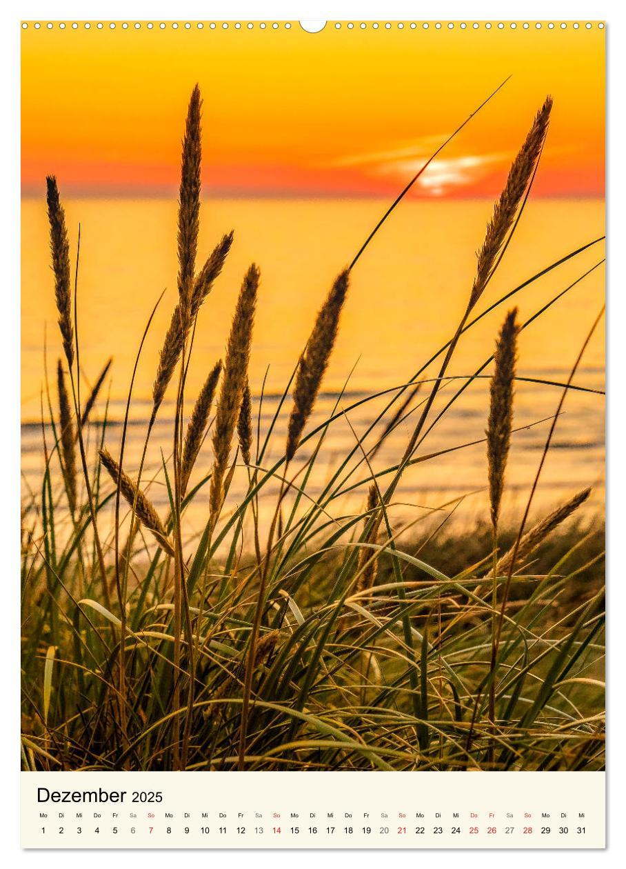 Bild: 9783435968992 | LANGEOOG Strandspaziergang (Wandkalender 2025 DIN A2 hoch),...