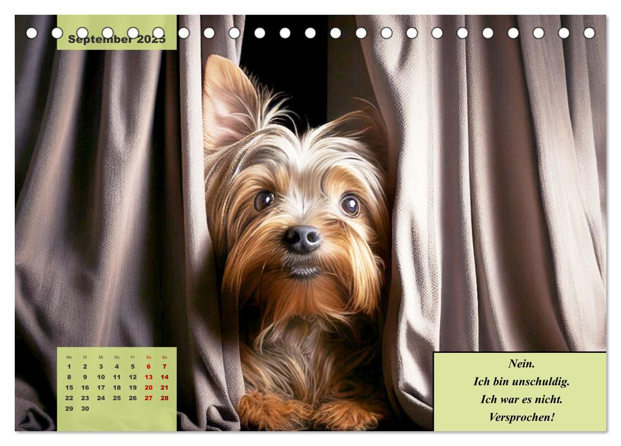 Bild: 9783383876707 | Der humoristische Yorkshire Terrier Kalender (Tischkalender 2025...