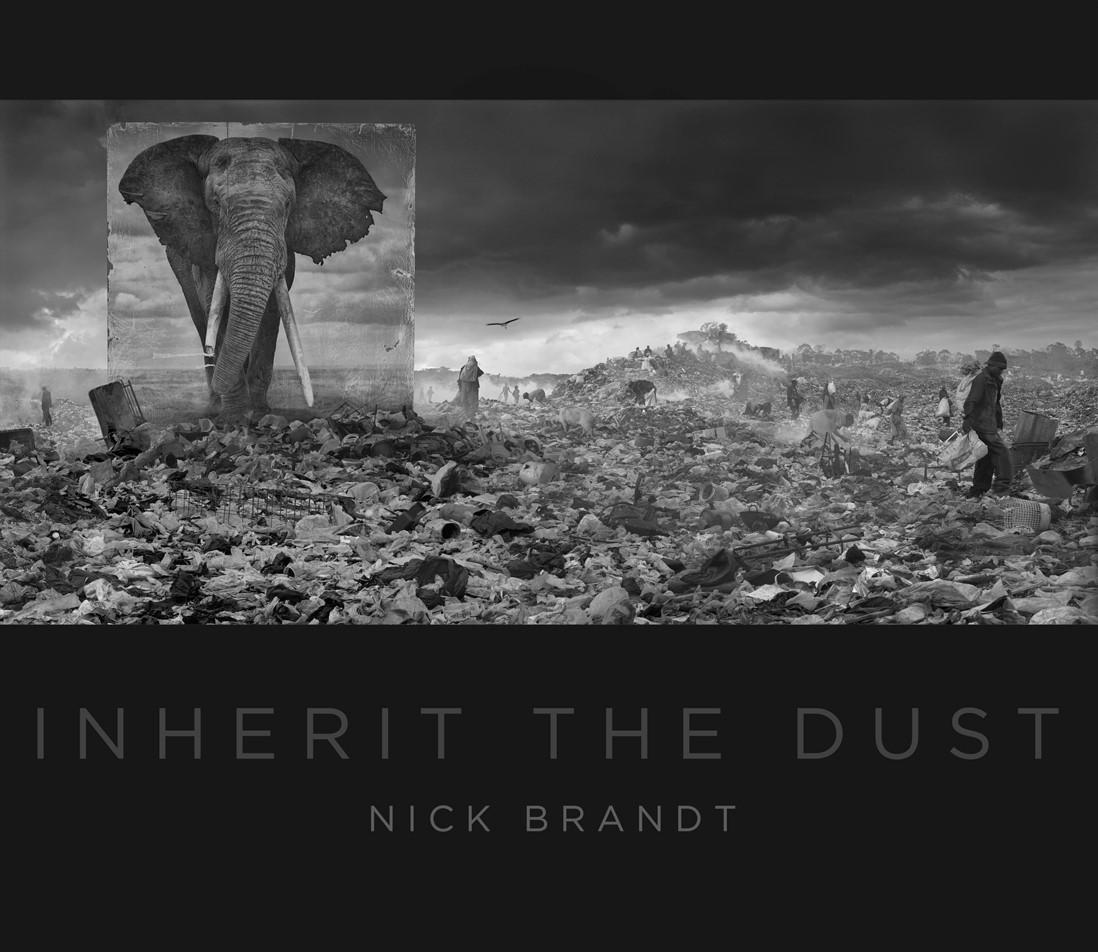 Bild: 9780692520543 | Nick Brandt: Inherit the Dust | Buch | Englisch | 2016