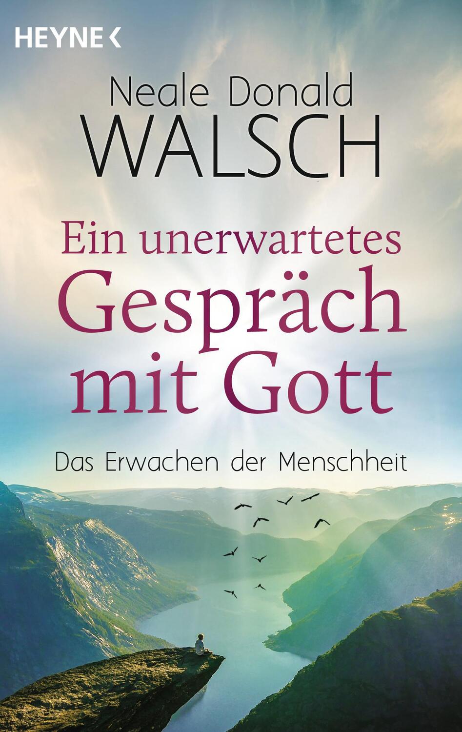 Cover: 9783453703575 | Ein unerwartetes Gespräch mit Gott | Das Erwachen der Menschheit