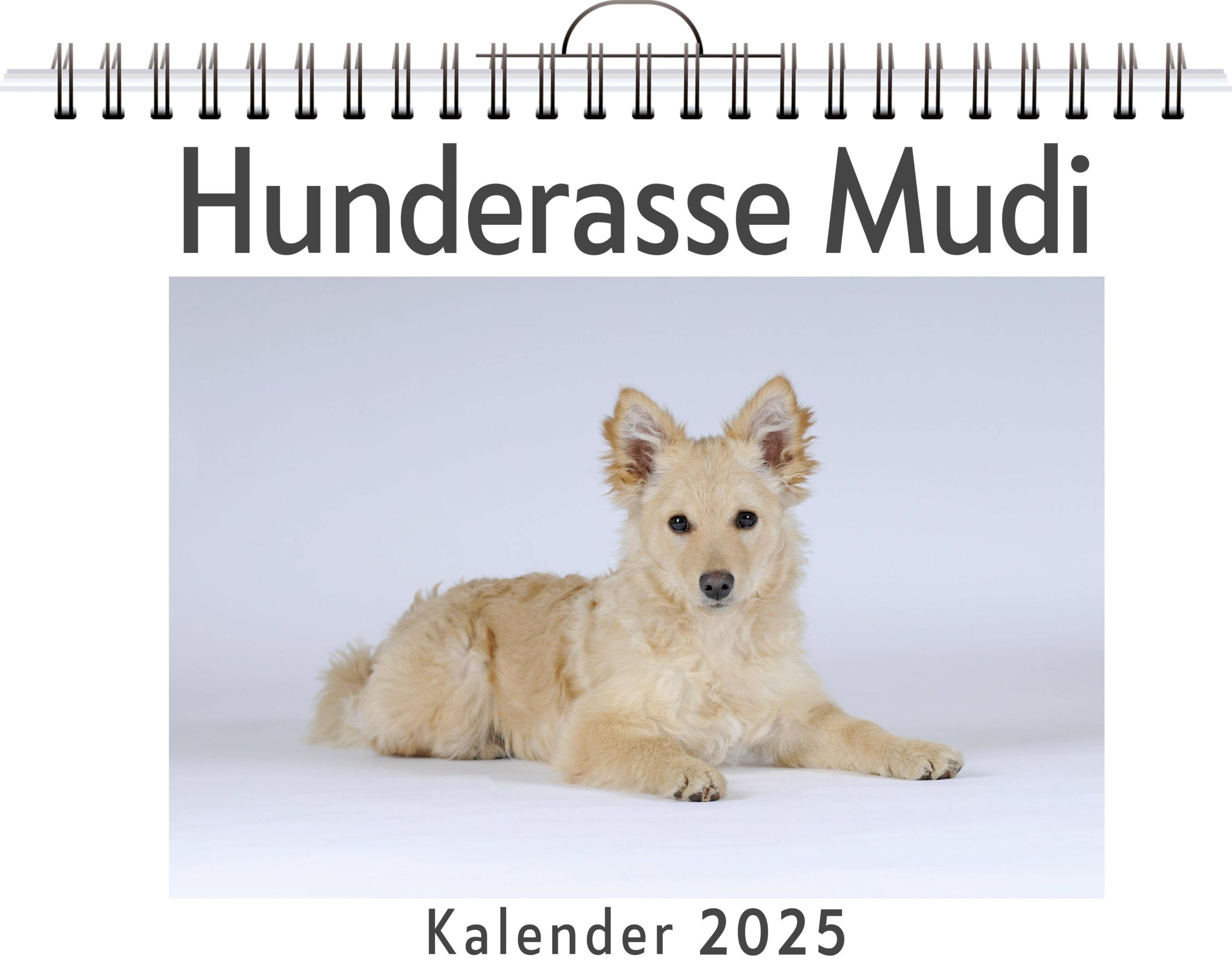 Cover: 9783759132642 | Hunderasse Mudi | Samuel Schäfer | Kalender | Kalender | 14 S.