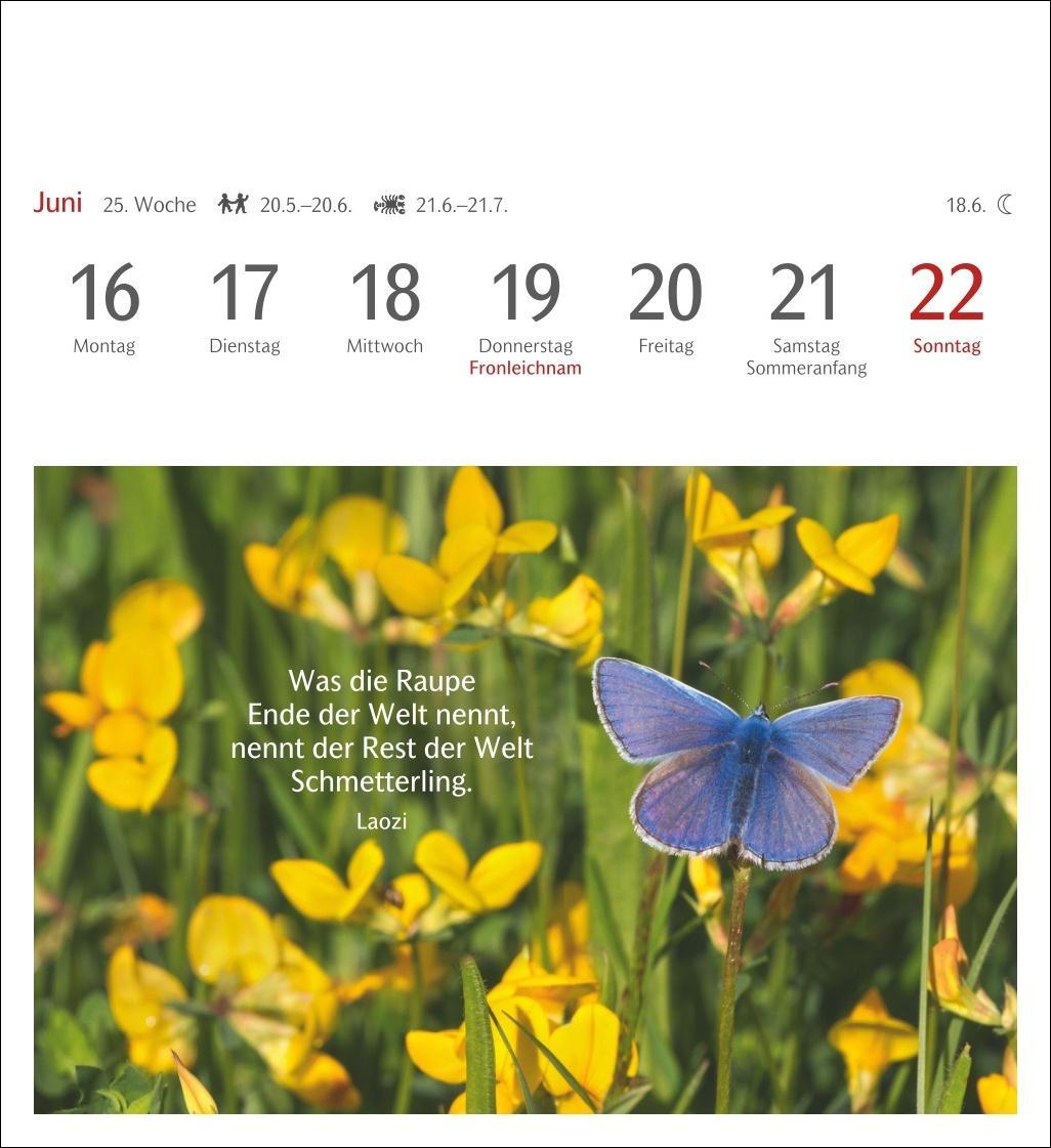 Bild: 9783840033834 | Momente des Glücks Postkartenkalender 2025 - Wochenkalender mit...