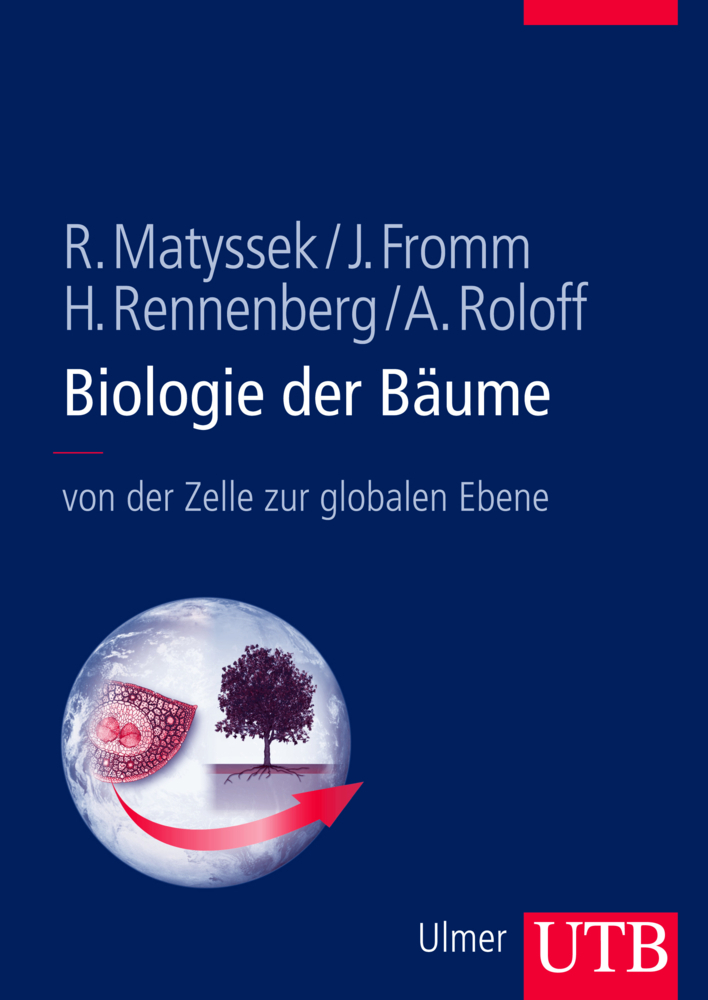 Cover: 9783825284503 | Biologie der Bäume | Von der Zelle zur globalen Ebene | Taschenbuch