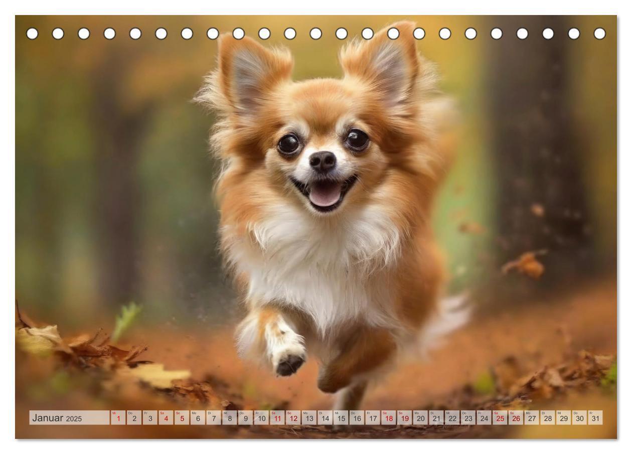 Bild: 9783383811661 | Chihuahuas - Kleine Hunde - große Temperamentbündel (Tischkalender...