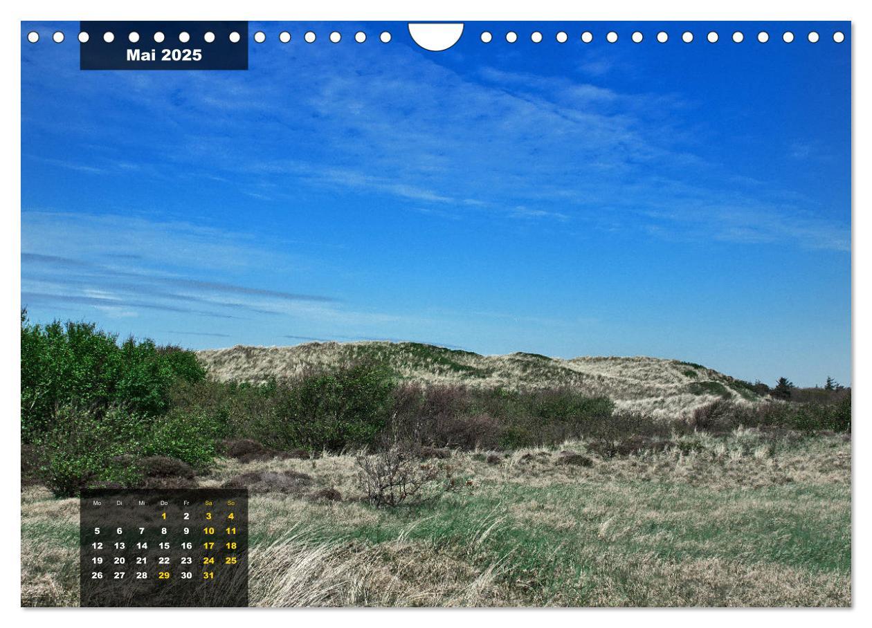 Bild: 9783435331802 | Texel Insel mit Charakter (Wandkalender 2025 DIN A4 quer), CALVENDO...