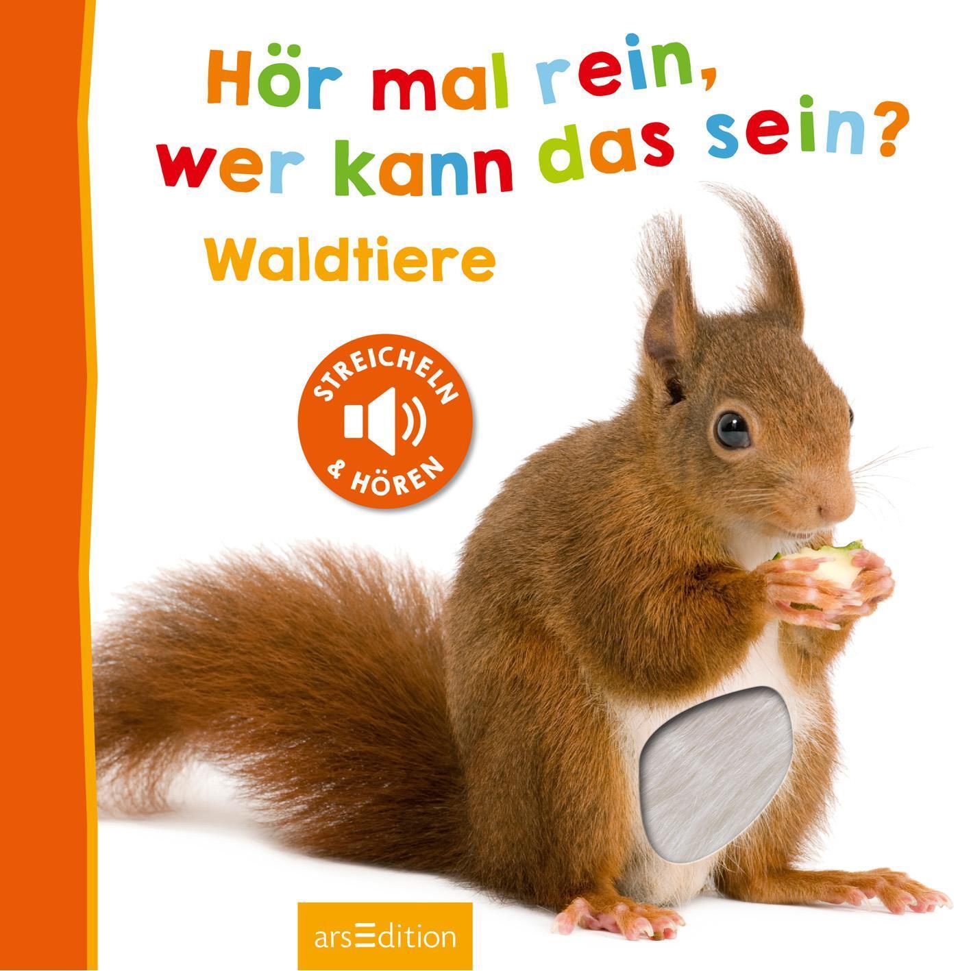 Bild: 9783845812793 | Hör mal rein, wer kann das sein? - Waldtiere | Buch | 12 S. | Deutsch