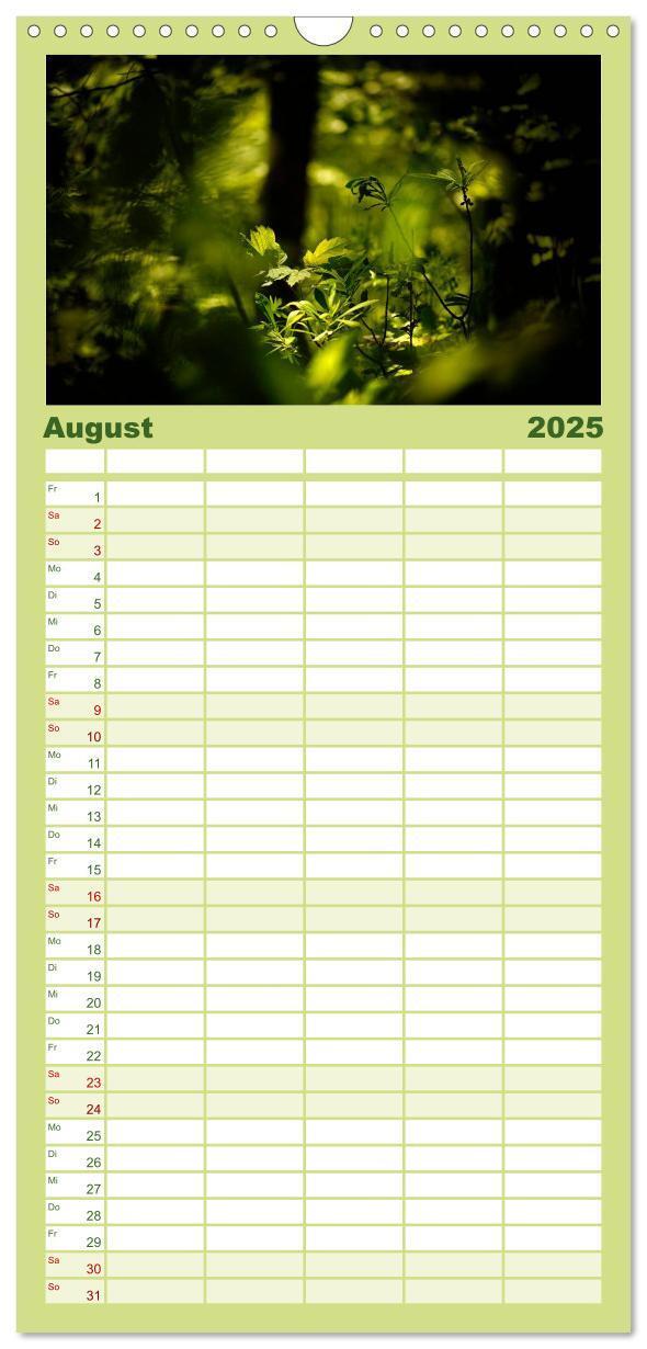 Bild: 9783457117453 | Familienplaner 2025 - Mysterium Wald mit 5 Spalten (Wandkalender,...