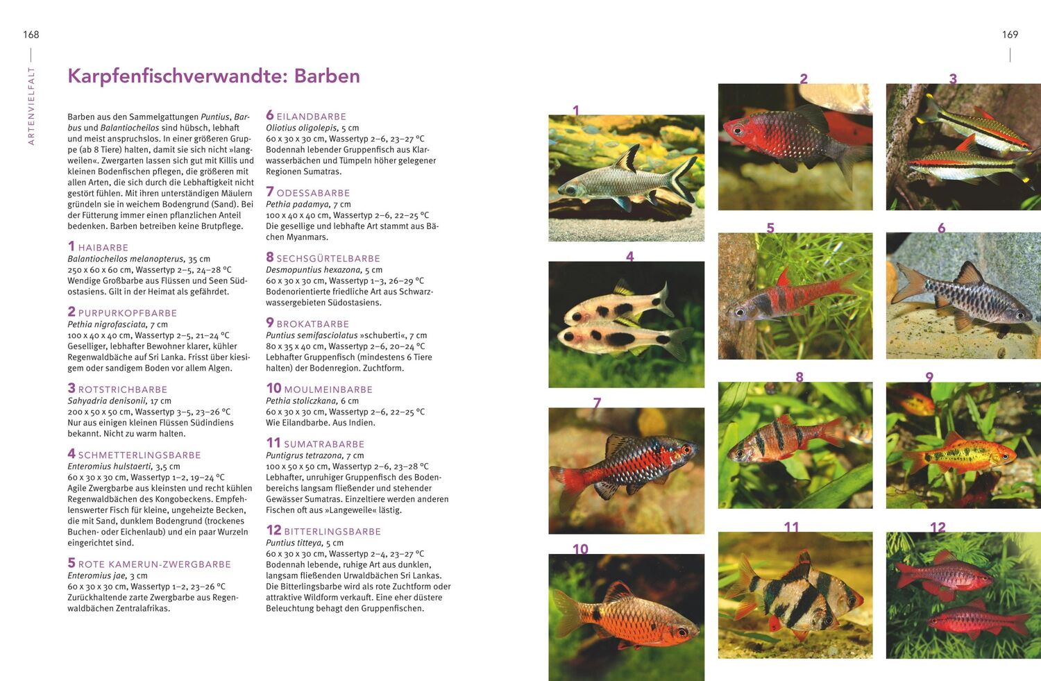 Bild: 9783833861390 | Praxishandbuch Aquarium | Ulrich Schliewen | Buch | 288 S. | Deutsch