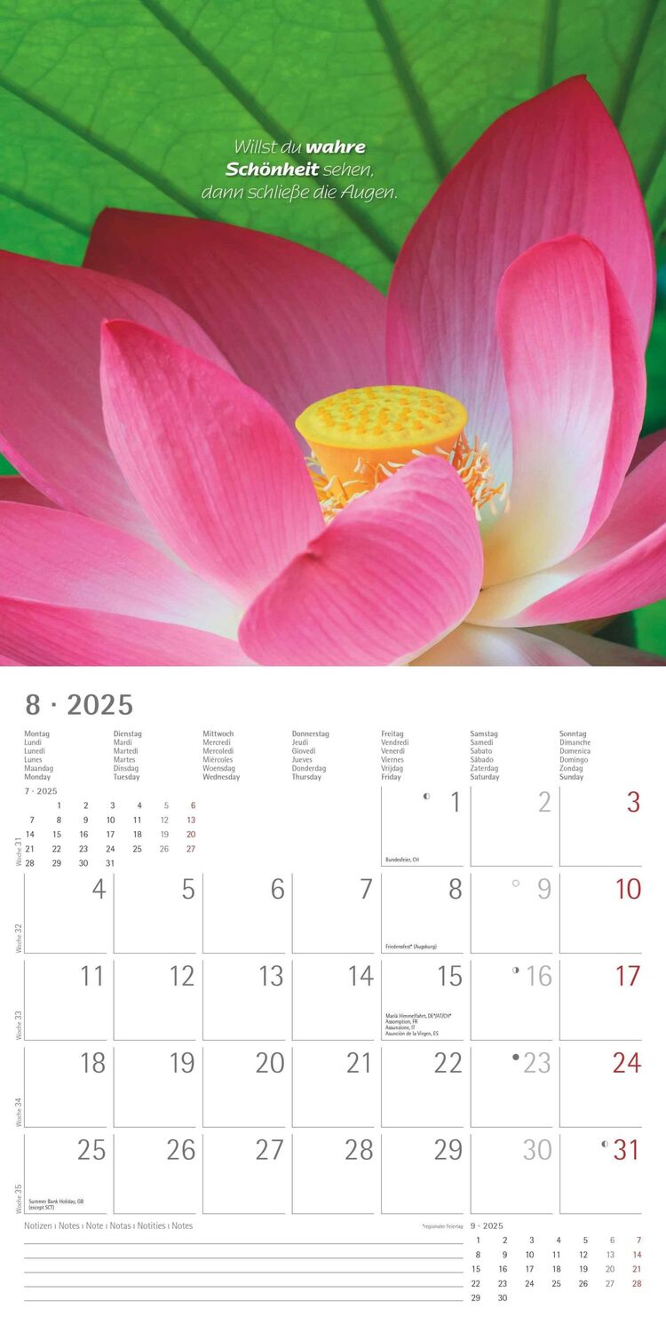 Bild: 4251732340858 | Zen 2025 - Broschürenkalender 30x30 cm (30x60 geöffnet) - Kalender...