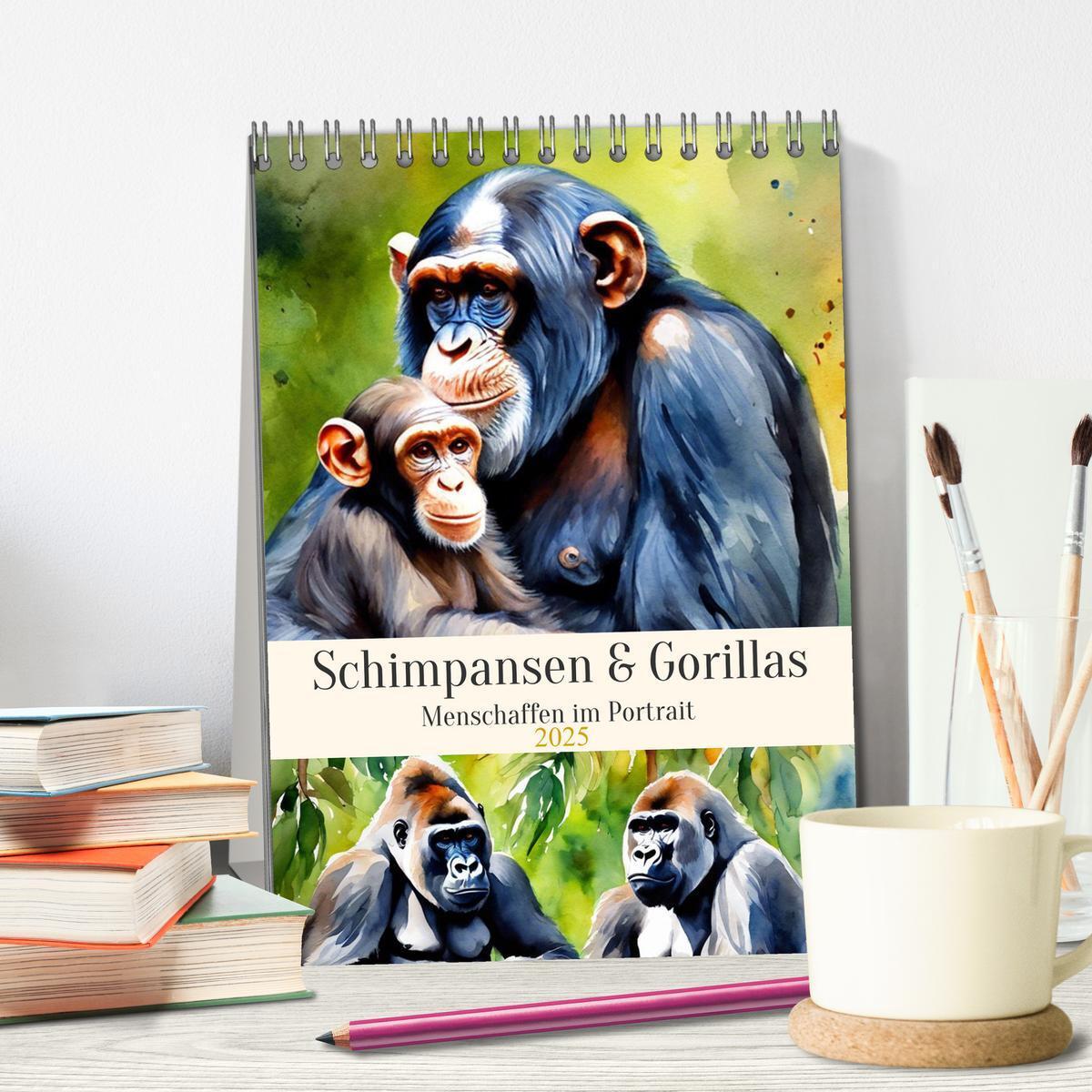 Bild: 9783383820274 | Schimpansen &amp; Gorillas (Tischkalender 2025 DIN A5 hoch), CALVENDO...