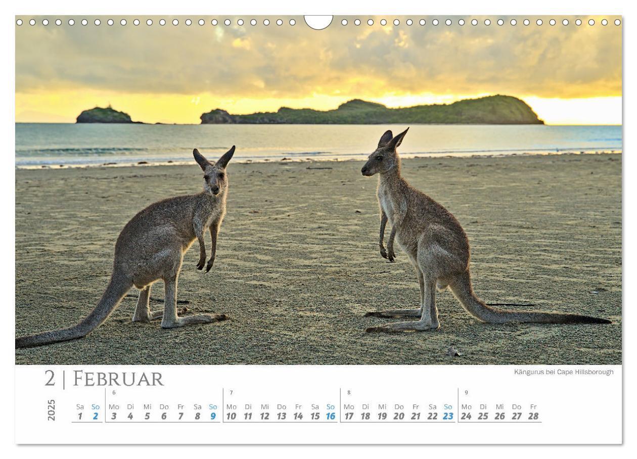 Bild: 9783383798771 | Australien - Highlights Ostküste (Wandkalender 2025 DIN A3 quer),...