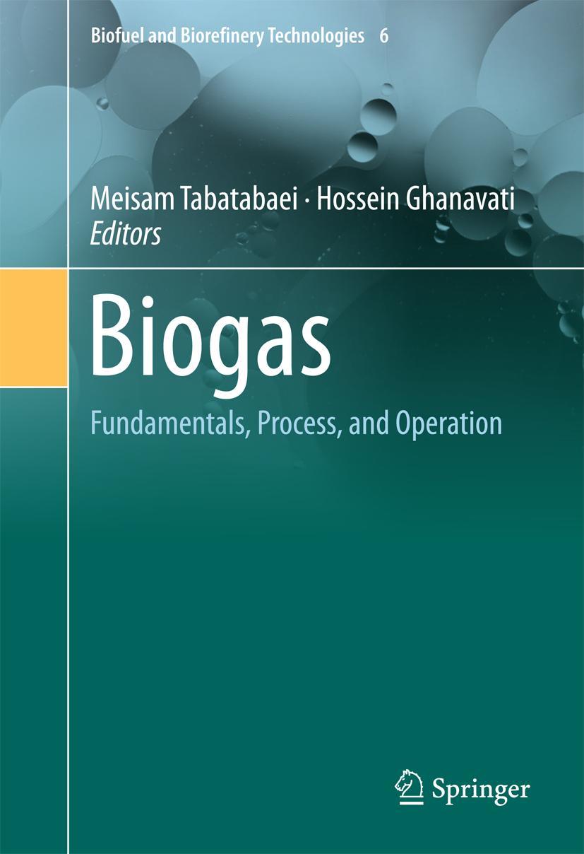 Cover: 9783319773346 | Biogas | Fundamentals, Process, and Operation | Tabatabaei (u. a.)