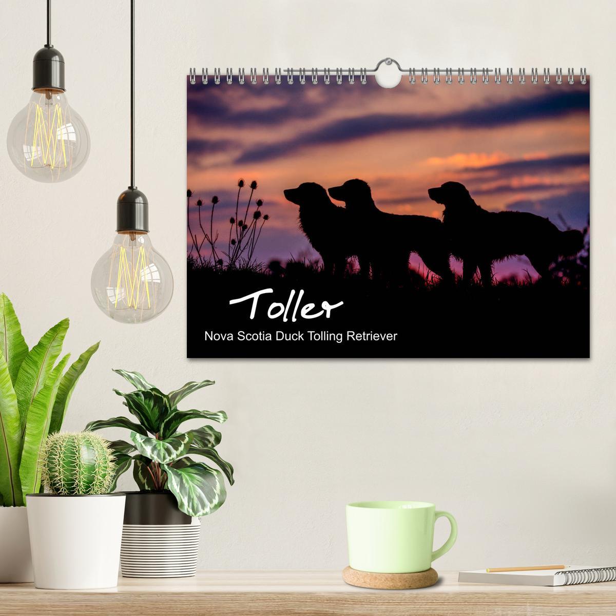 Bild: 9783435392919 | Toller - Nova Scotia Duck Tolling Retriever (Wandkalender 2025 DIN...