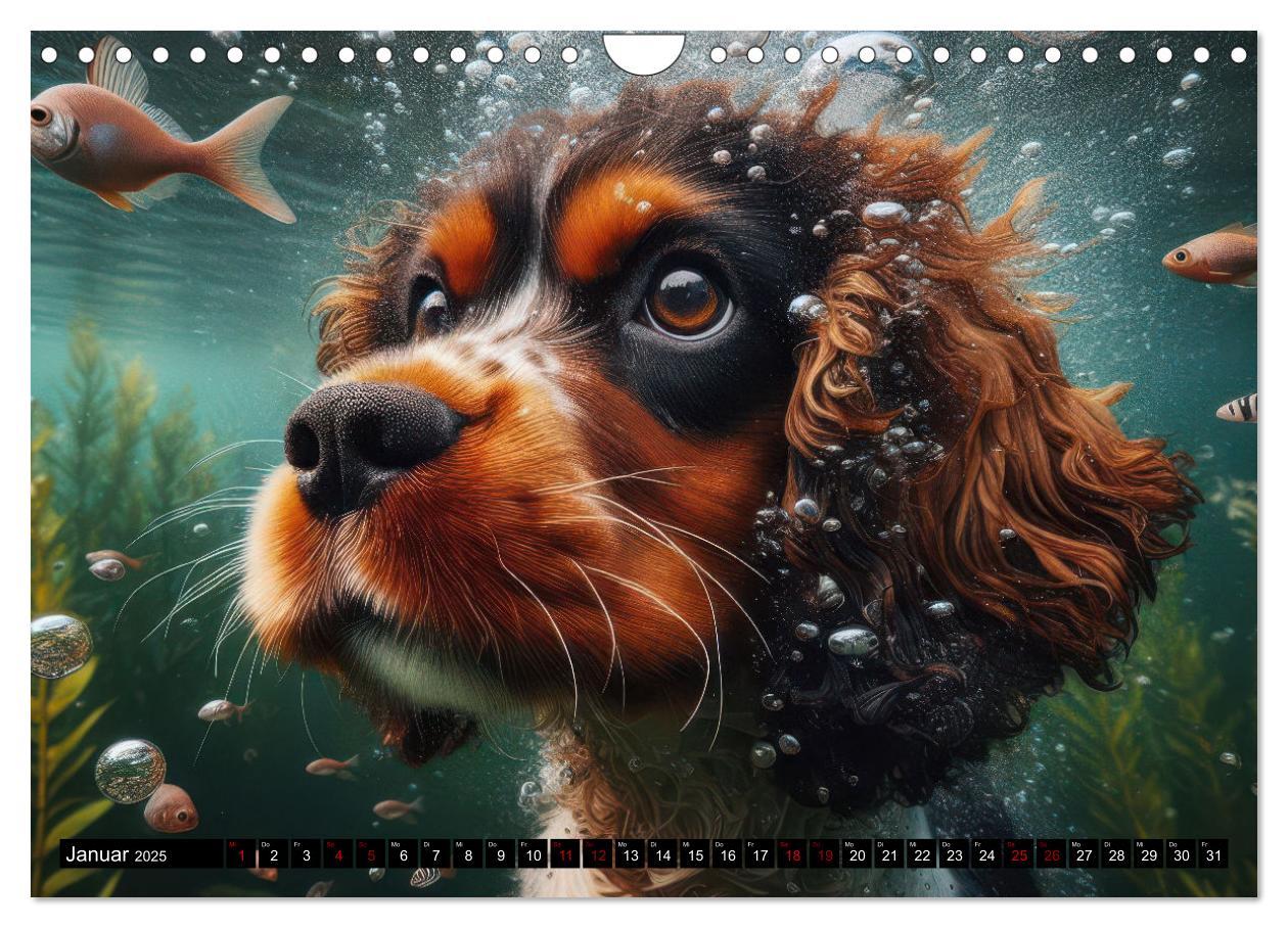 Bild: 9783457150429 | Badespaß - Hunde unter Wasser (Wandkalender 2025 DIN A4 quer),...