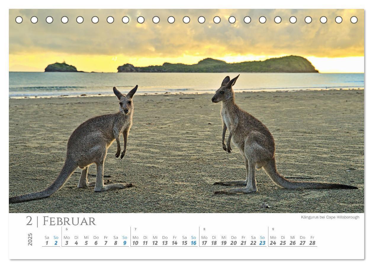 Bild: 9783383798757 | Australien - Highlights Ostküste (Tischkalender 2025 DIN A5 quer),...