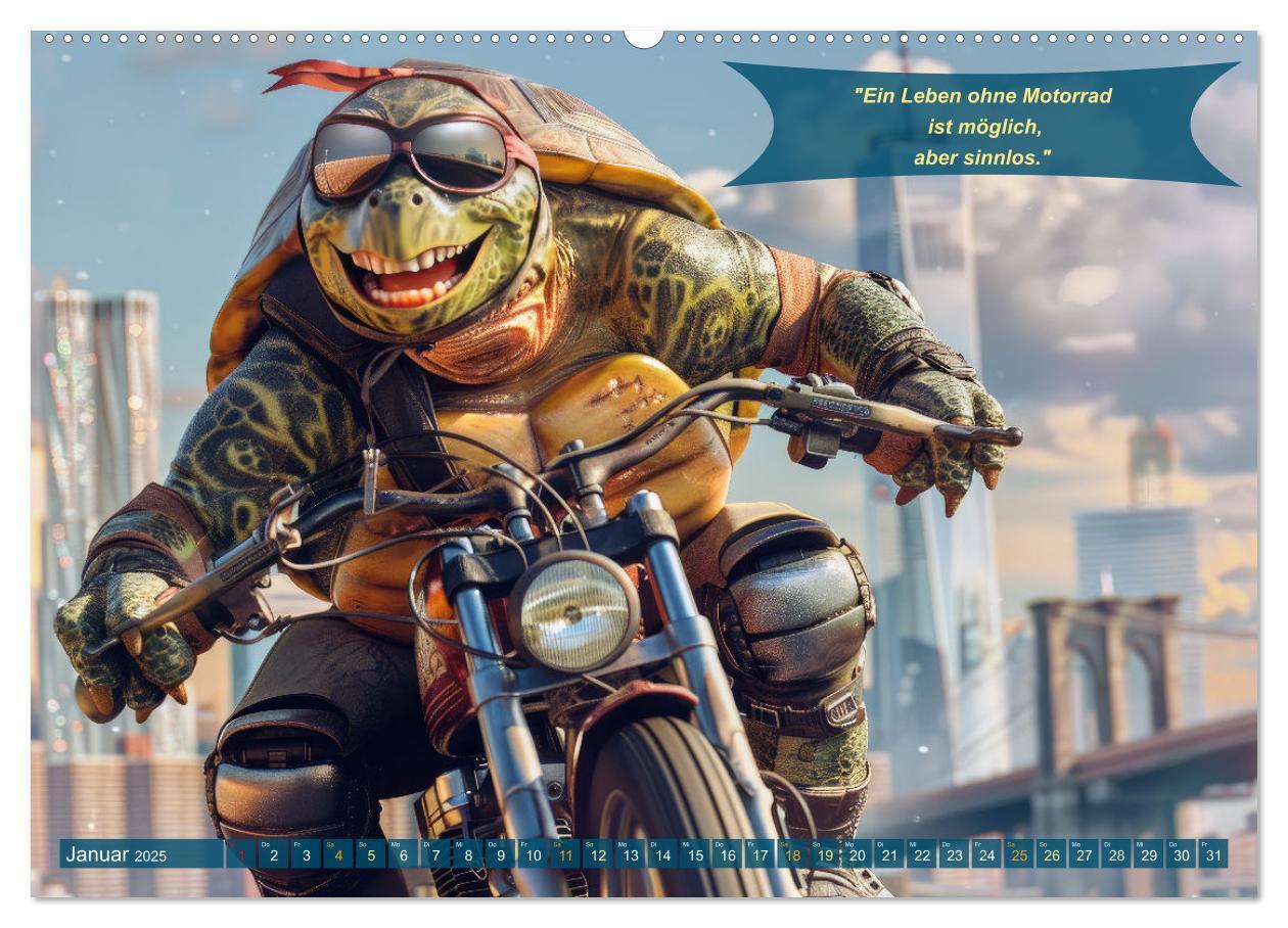 Bild: 9783457166079 | Tierisch lustige Motorradfahrer (Wandkalender 2025 DIN A2 quer),...