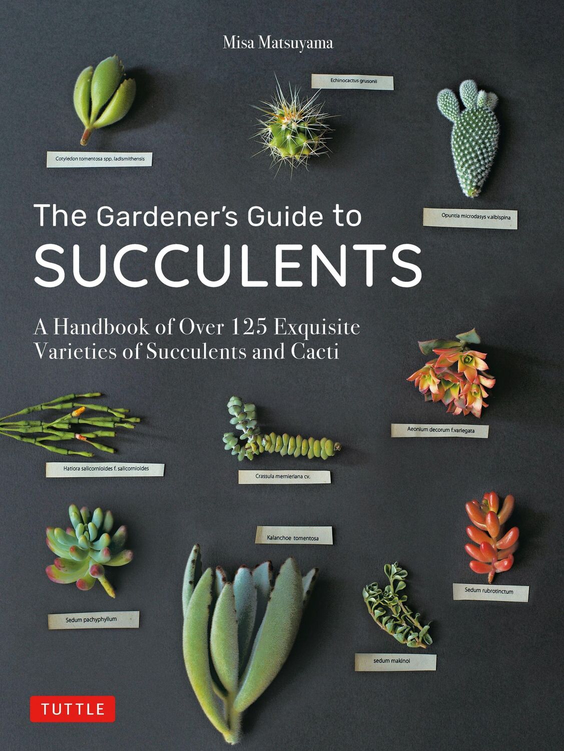 Cover: 9780804851060 | The Gardener's Guide to Succulents | Misa Matsuyama | Buch | Gebunden