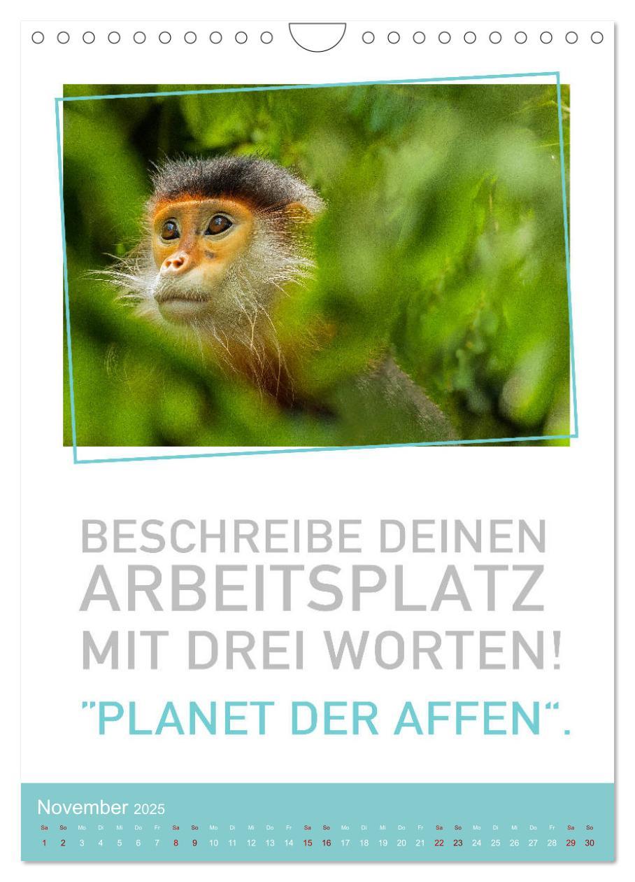 Bild: 9783435940011 | Tierisch bekloppt! (Wandkalender 2025 DIN A4 hoch), CALVENDO...