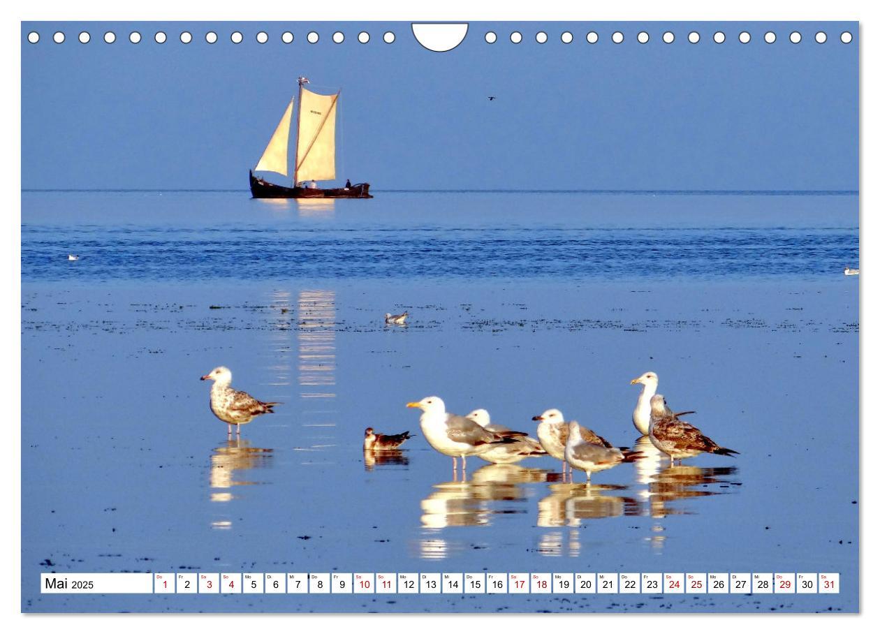 Bild: 9783435010936 | Unter Segeln übers Kurische Haff (Wandkalender 2025 DIN A4 quer),...