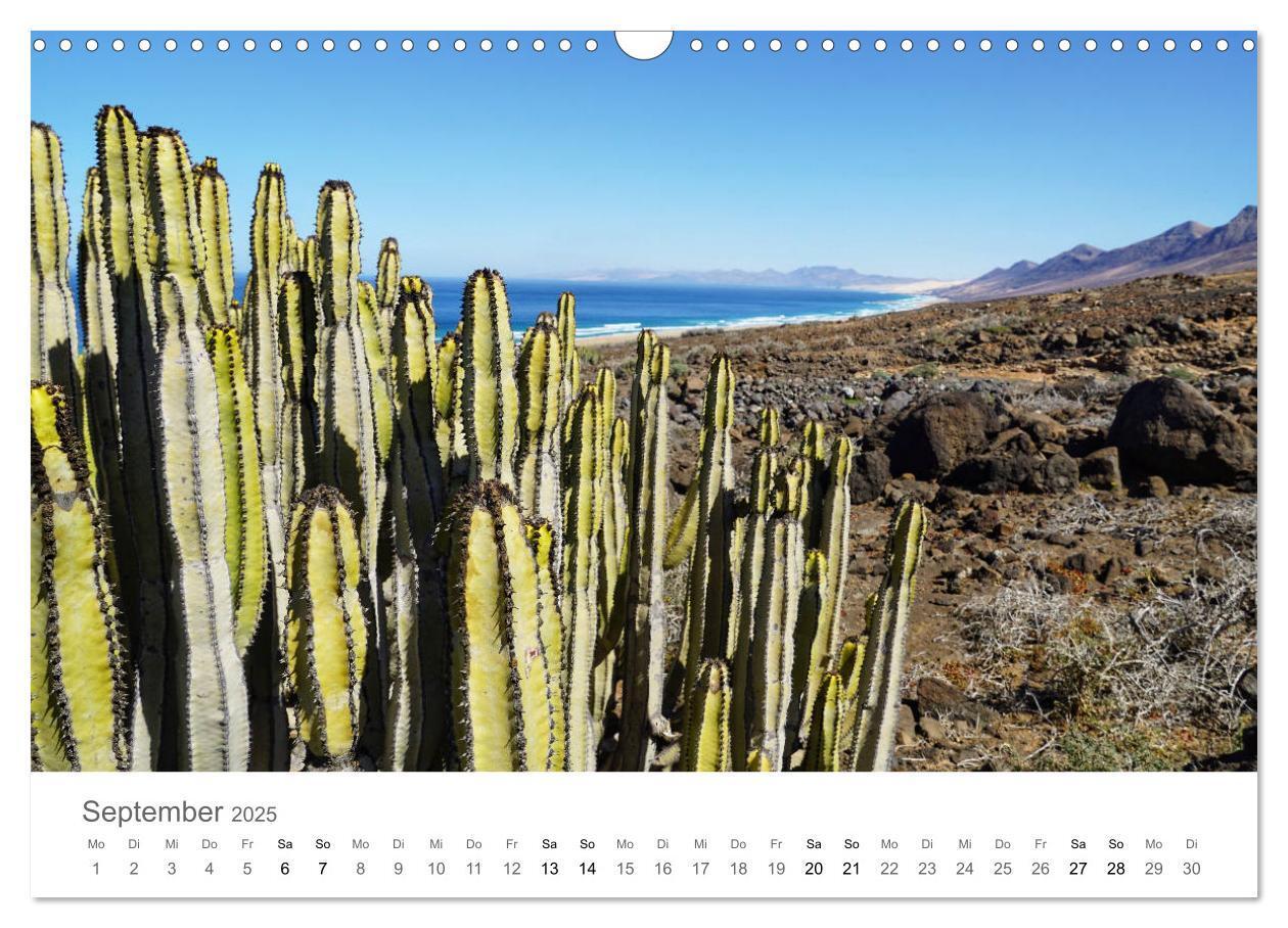 Bild: 9783435218448 | Fuerteventura - die Wüsteninsel der Kanaren (Wandkalender 2025 DIN...