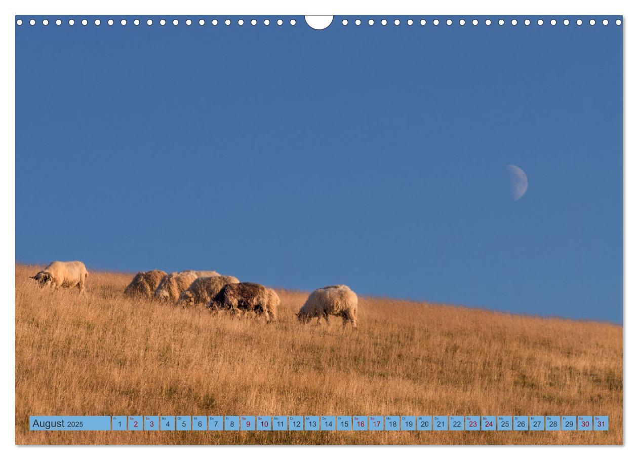 Bild: 9783383939419 | Sehnsucht Rügen (Wandkalender 2025 DIN A3 quer), CALVENDO...