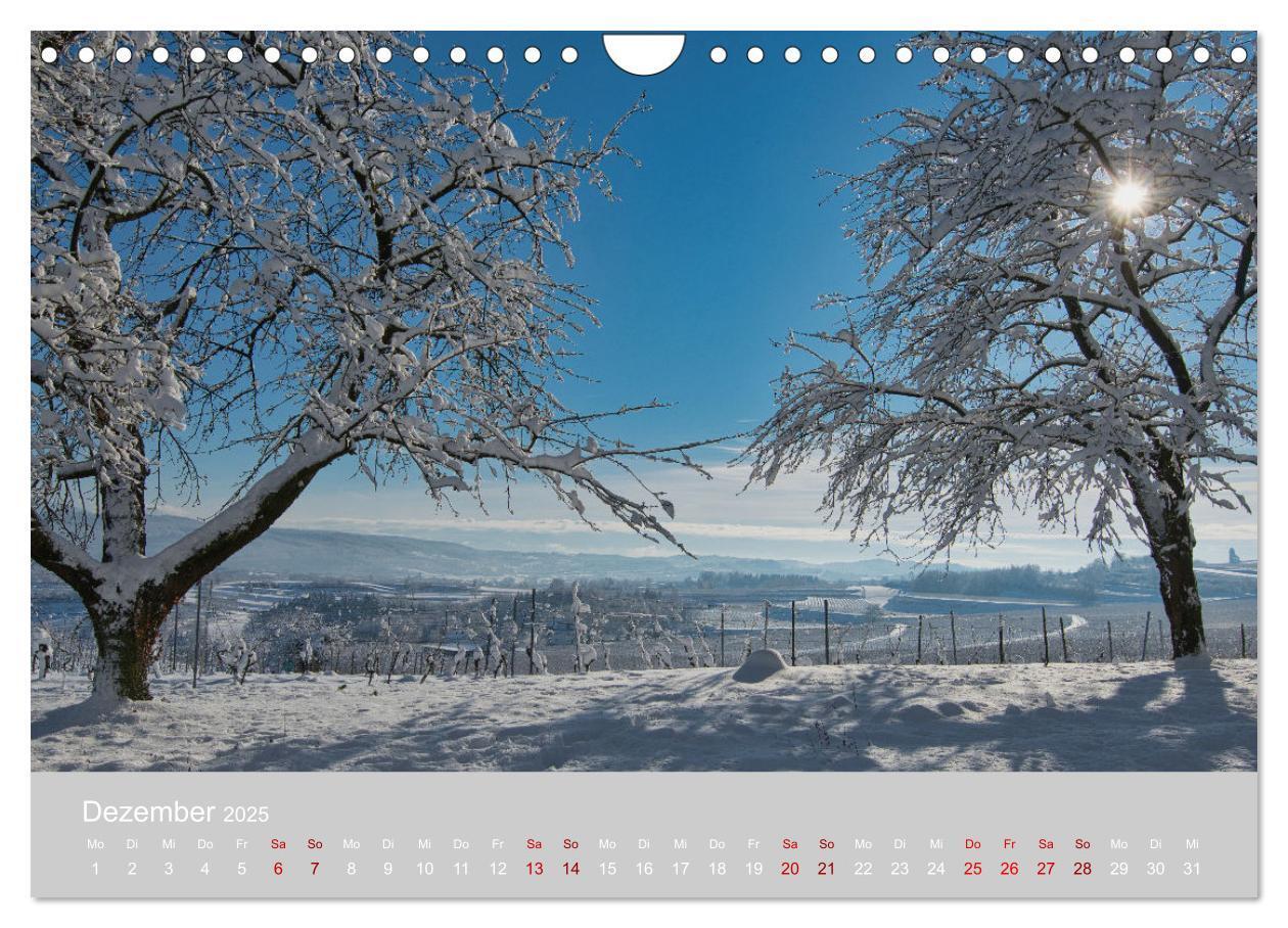 Bild: 9783383830310 | Ettenheim - Perle der Ortenau (Wandkalender 2025 DIN A4 quer),...