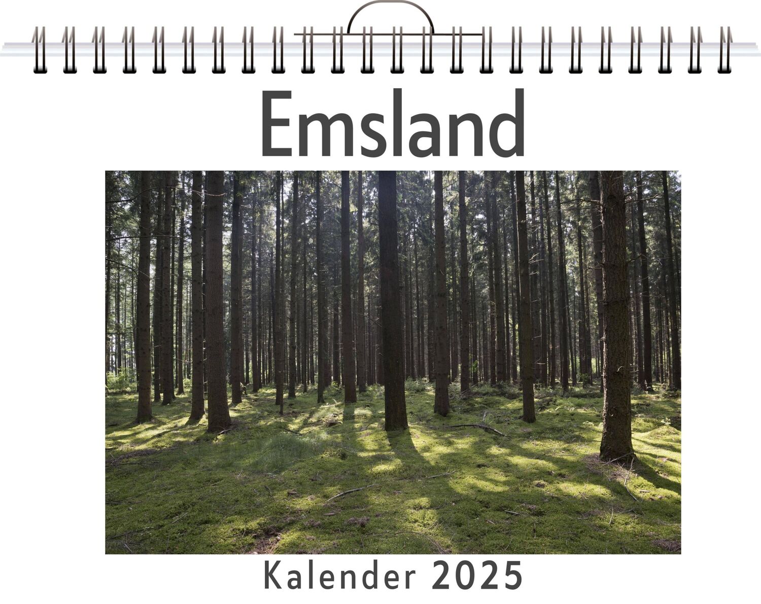 Cover: 9783759127303 | Emsland | Theo Herrmann | Kalender | Kalender | 14 S. | Deutsch